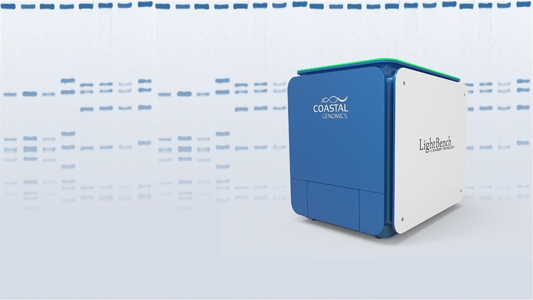 Southern Cross Diagnostics Specialising in human diagnostics